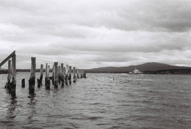 Analog photography